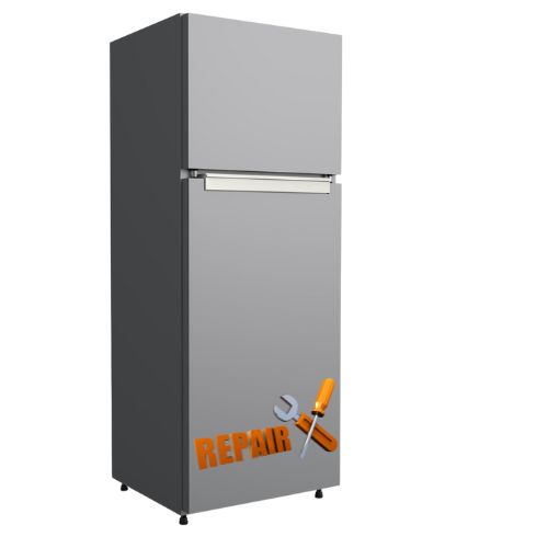 double dooe Fridge repair